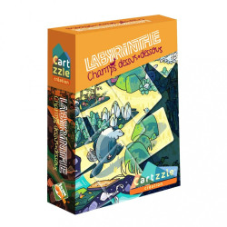 Cartzzle : Labyrinthe , Champs Dessus Dessous