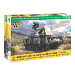 Système Anti missiles Russe TOR-M2/SA 15 gauntlet